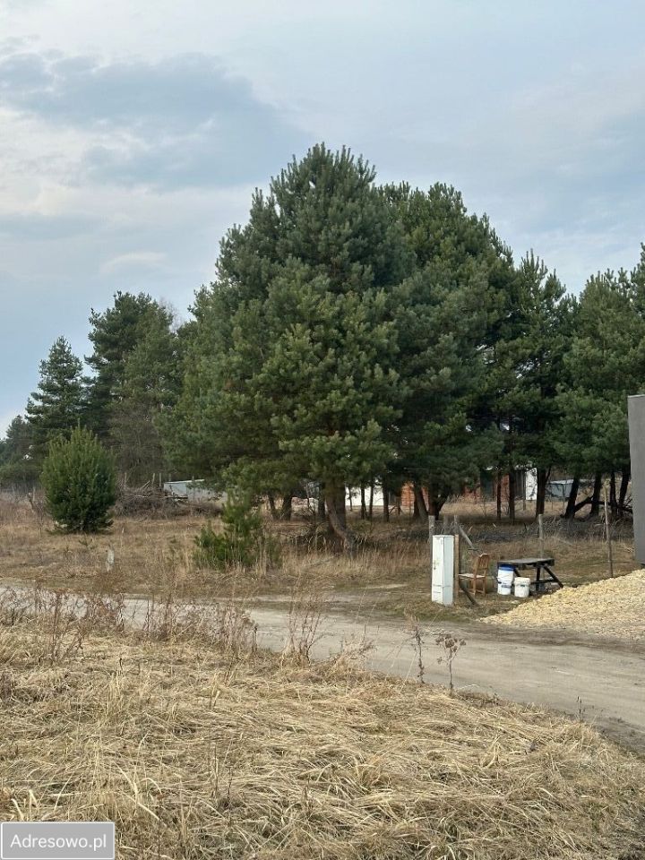 Działka budowlana Miasteczko Śląskie, ul. Klonowa. Zdjęcie 1