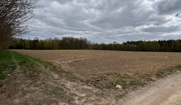 Działka rolna Wołucza