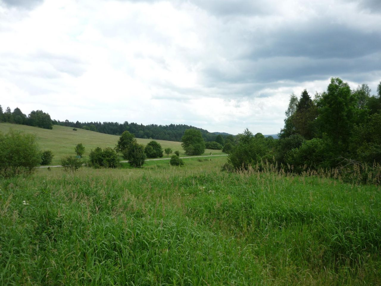 Działka rekreacyjna Liskowate. Zdjęcie 2