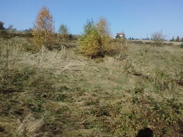 Działka budowlana Roztoka-Brzeziny Szarysz. Zdjęcie 6