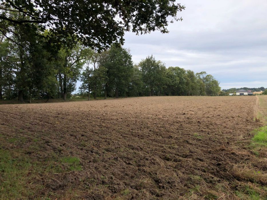 Działka budowlana Syców, ul. Polna. Zdjęcie 6