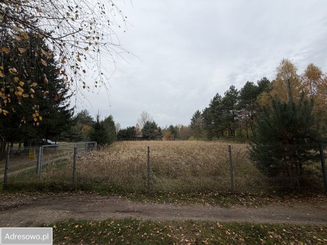Działka rekreacyjna Zygmuntowo. Zdjęcie 1