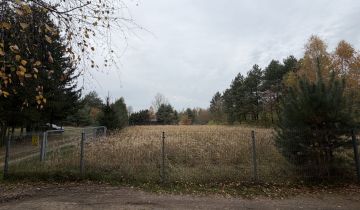 Działka rekreacyjna Zygmuntowo