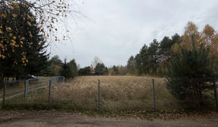 Działka rekreacyjna Zygmuntowo