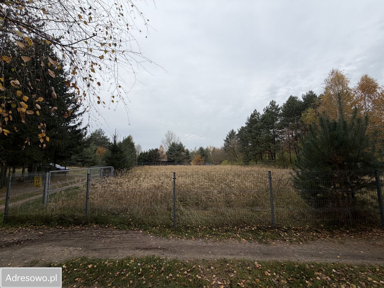 Działka rekreacyjna Zygmuntowo