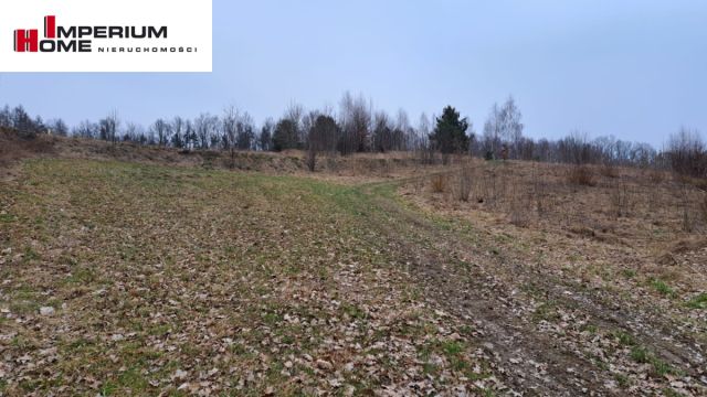 Działka inwestycyjna Grzybno, ul. Przodkowska. Zdjęcie 9