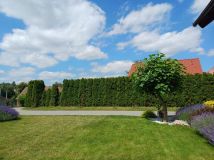 dom wolnostojący Raszów. Zdjęcie 3