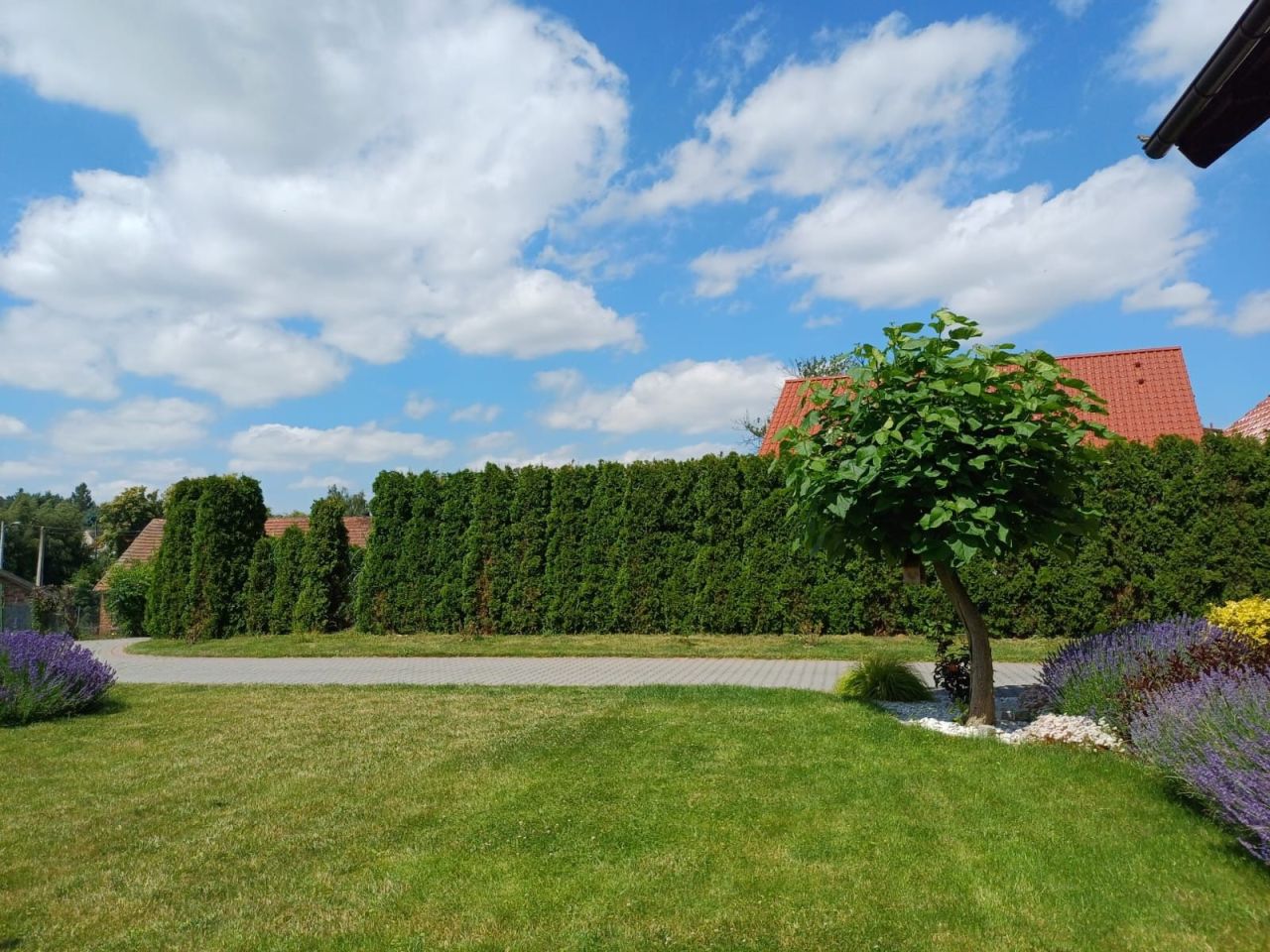 dom wolnostojący Raszów. Zdjęcie 4