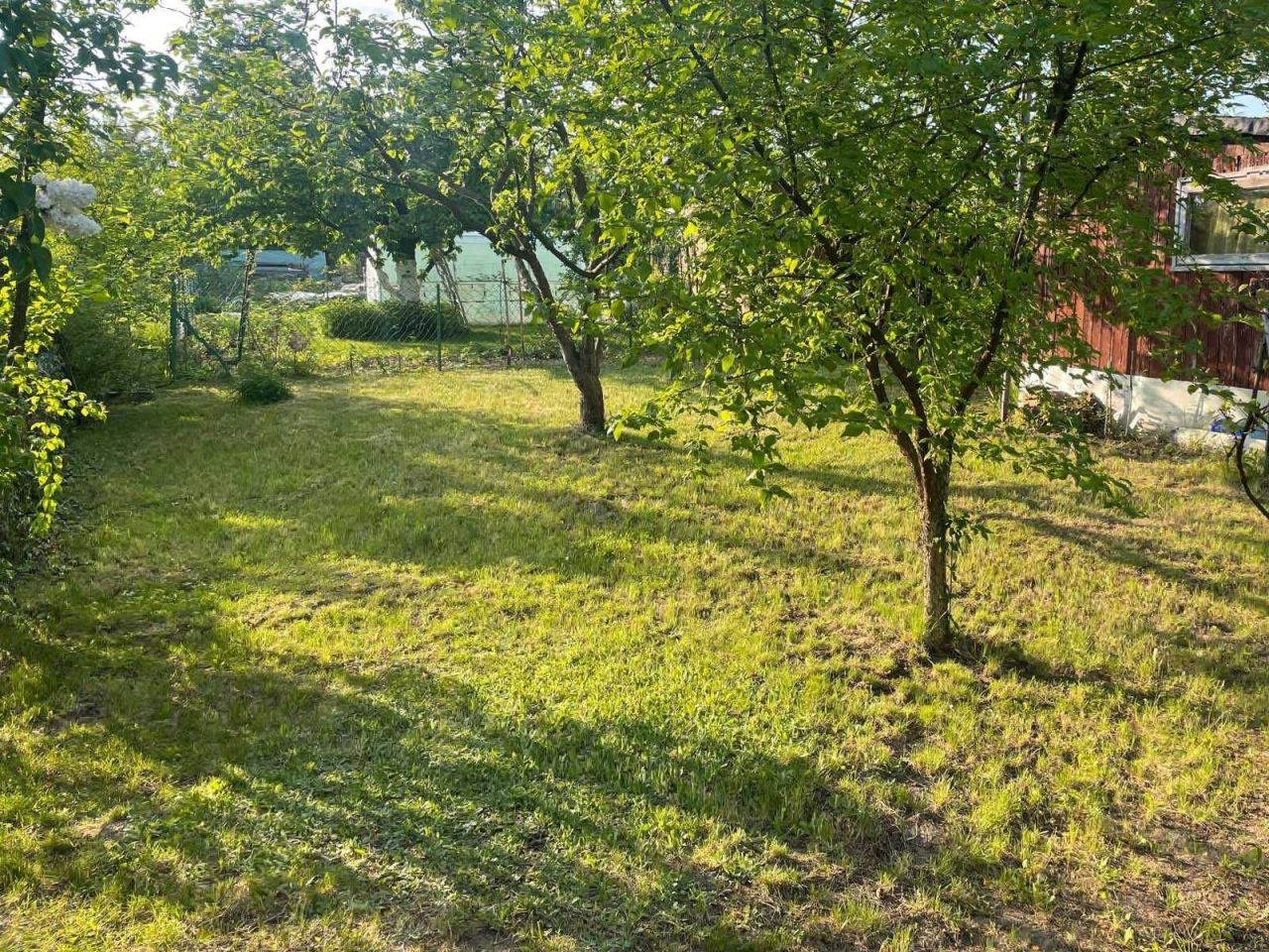 Działka rod Lublin, ul. Zbożowa. Zdjęcie 4