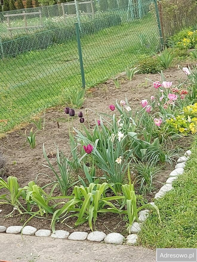 Działka rod Stalowa Wola. Zdjęcie 3