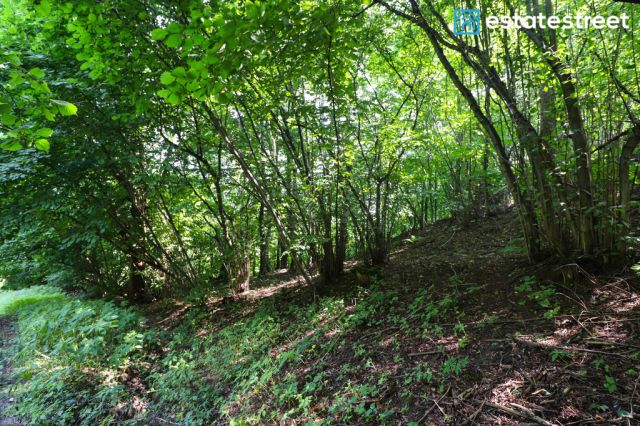 Działka budowlana Nielepice. Zdjęcie 23