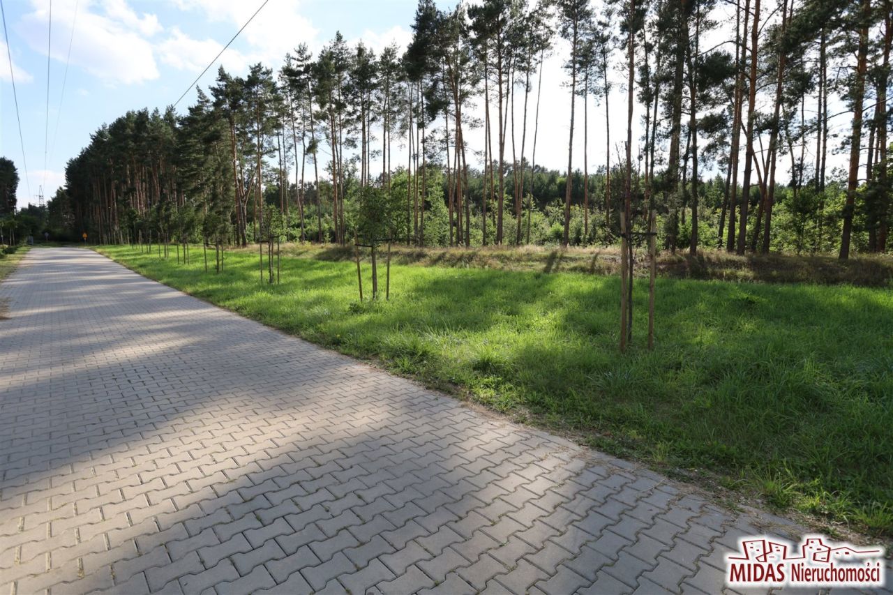 Działka budowlana Wielka Nieszawka. Zdjęcie 2