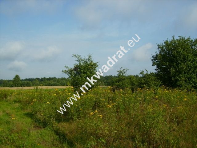 Działka budowlana Czosnów. Zdjęcie 6