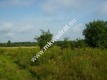 Działka budowlana Czosnów. Zdjęcie 4