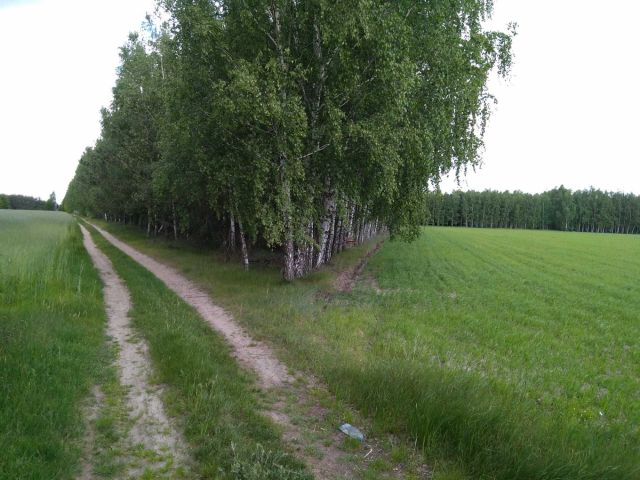 Działka rolna Stolniki. Zdjęcie 1