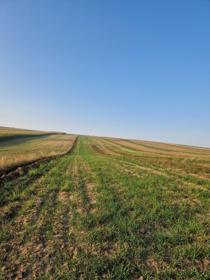 Działka rolna Buszków. Zdjęcie 3