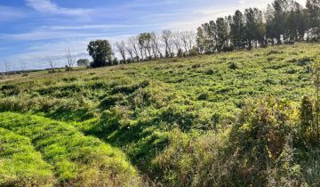 Działka rolno-budowlana Płocin