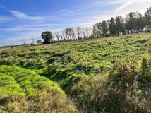 Działka rolno-budowlana Płocin