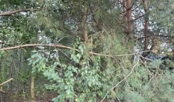 Działka budowlana Czarna, ul. Witosa