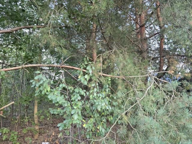 Działka budowlana Czarna, ul. Witosa. Zdjęcie 2