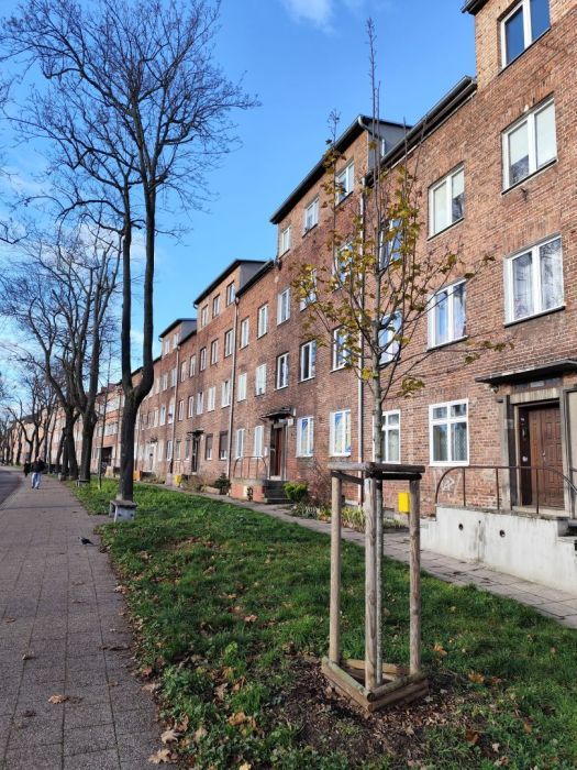 Mieszkanie 3-pokojowe Gdańsk Wrzeszcz, ul. Tadeusza Kościuszki
