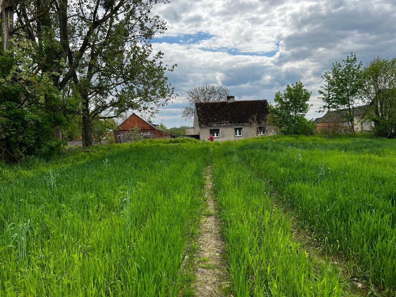 Działka budowlana Goszków. Zdjęcie 11