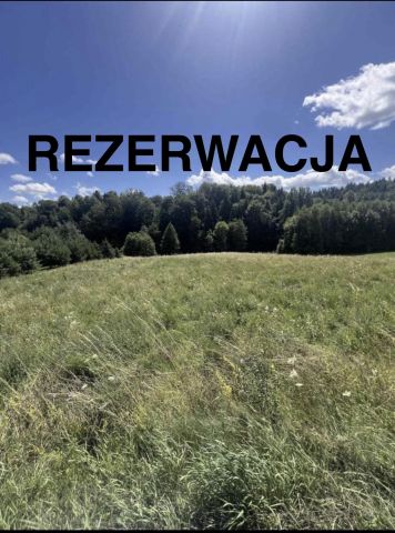Działka budowlana Kamienica Górna. Zdjęcie 9