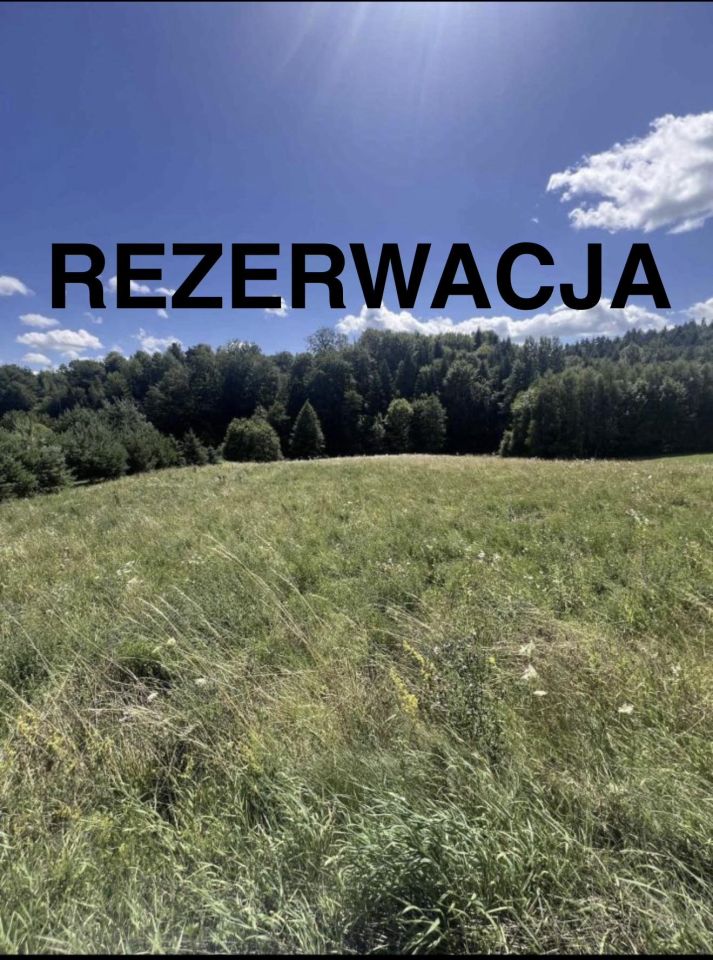 Działka budowlana Kamienica Górna. Zdjęcie 9