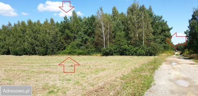 Działka budowlana Bogoria, ul. Staszowska. Zdjęcie 1