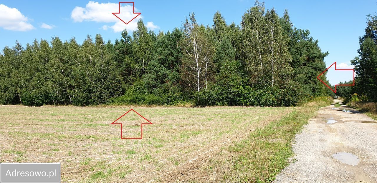 Działka budowlana Bogoria, ul. Staszowska