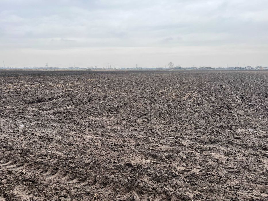 Działka rolna Wierzbin, ul. Królowej Marysieńki. Zdjęcie 8