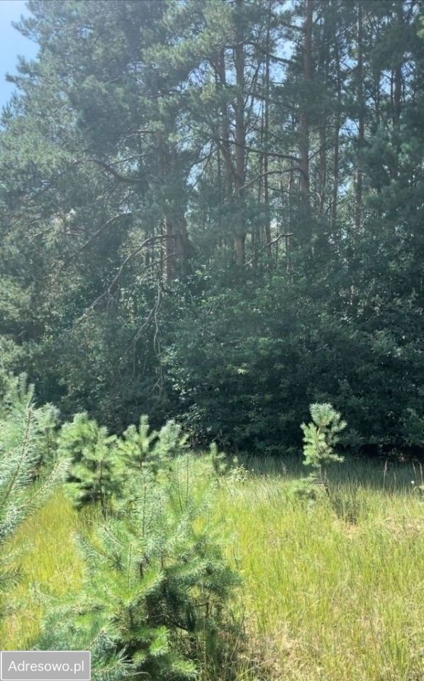 Działka budowlana Prądki, ul. Kozacka. Zdjęcie 3