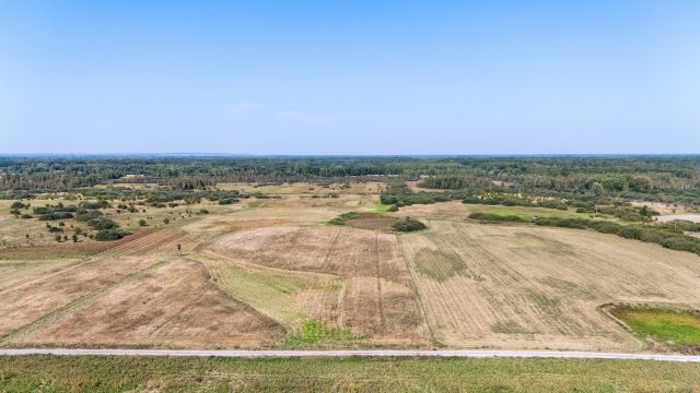 Działka rolna Brzeźno, Brzeźno. Zdjęcie 8