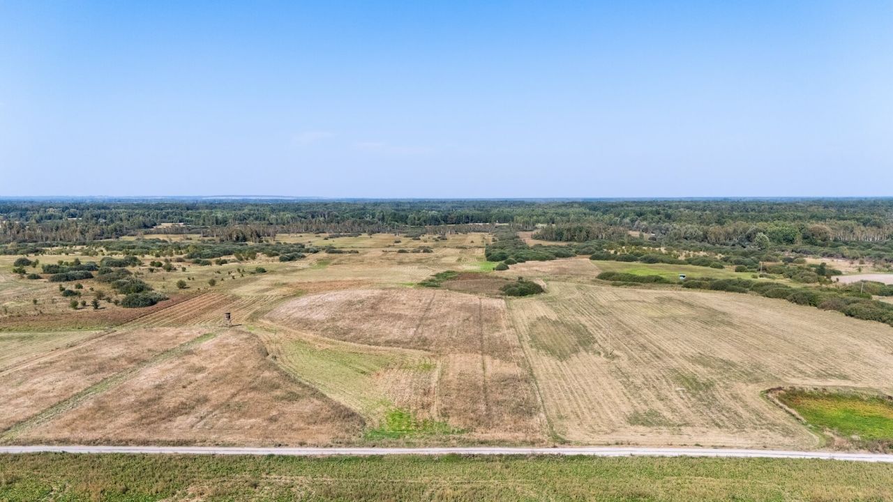 Działka rolna Brzeźno, Brzeźno. Zdjęcie 8