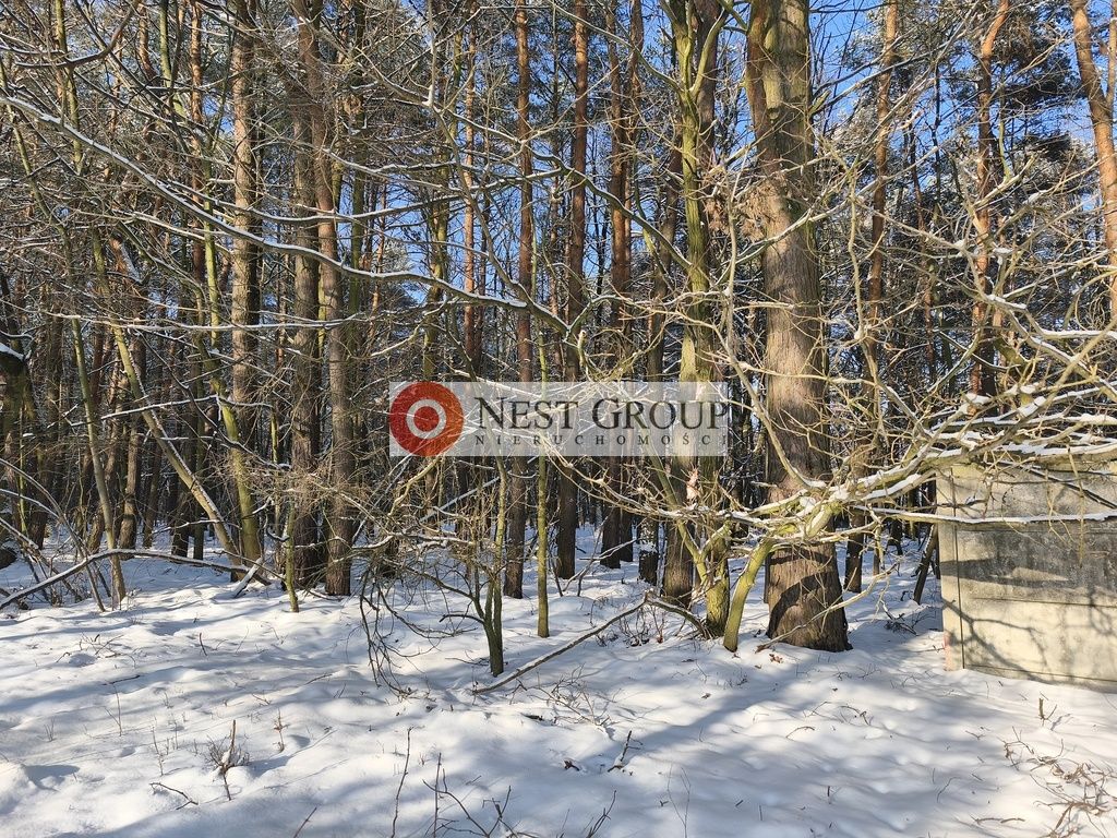 Działka budowlana Nowy Janków, ul. Wołomińska. Zdjęcie 11