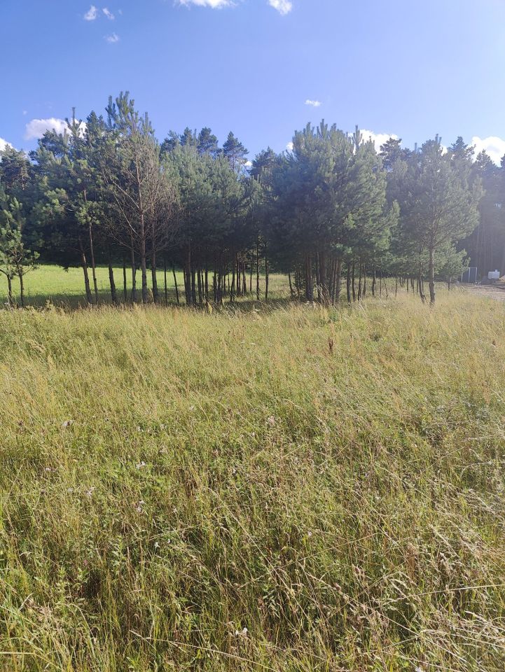 Działka budowlana Marzysz Marzysz Pierwszy. Zdjęcie 4
