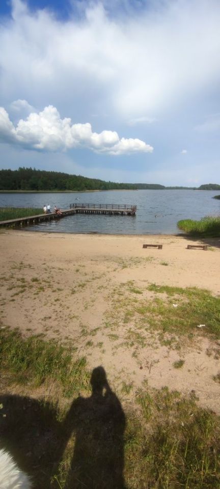 Działka rod Myki. Zdjęcie 4
