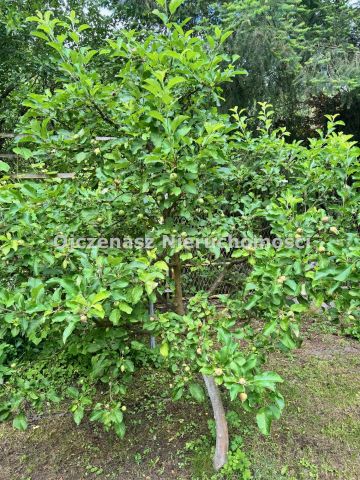 dom letniskowy Myślęcinek. Zdjęcie 12