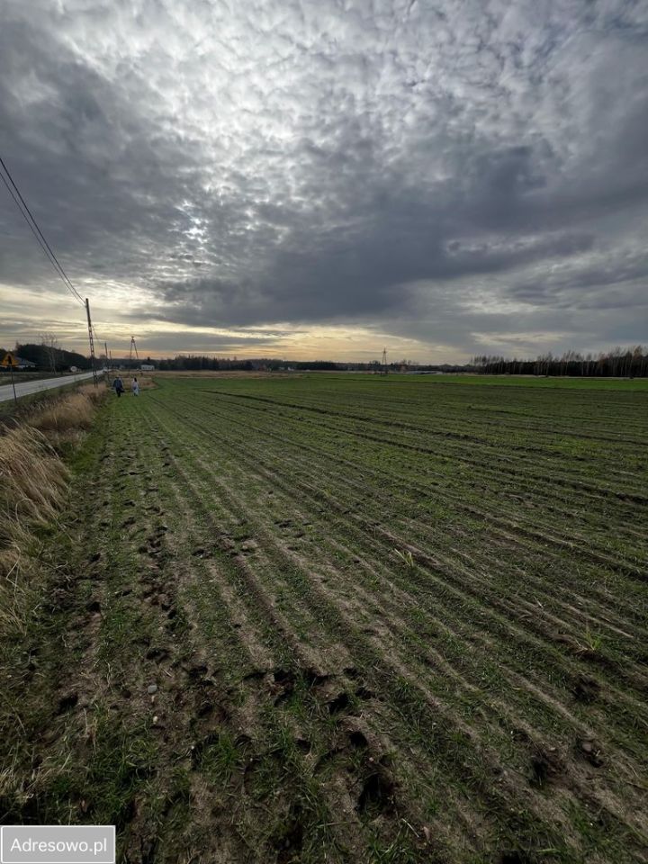 Działka budowlana Wólka Gonciarska. Zdjęcie 3