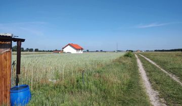 Działka budowlana Sławsk, ul. Modrzewiowa