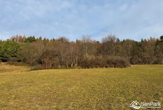 Działka rolna Zadwórze. Zdjęcie 9