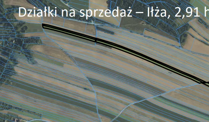 Działka rolna Iłża, ul. św. Franciszka