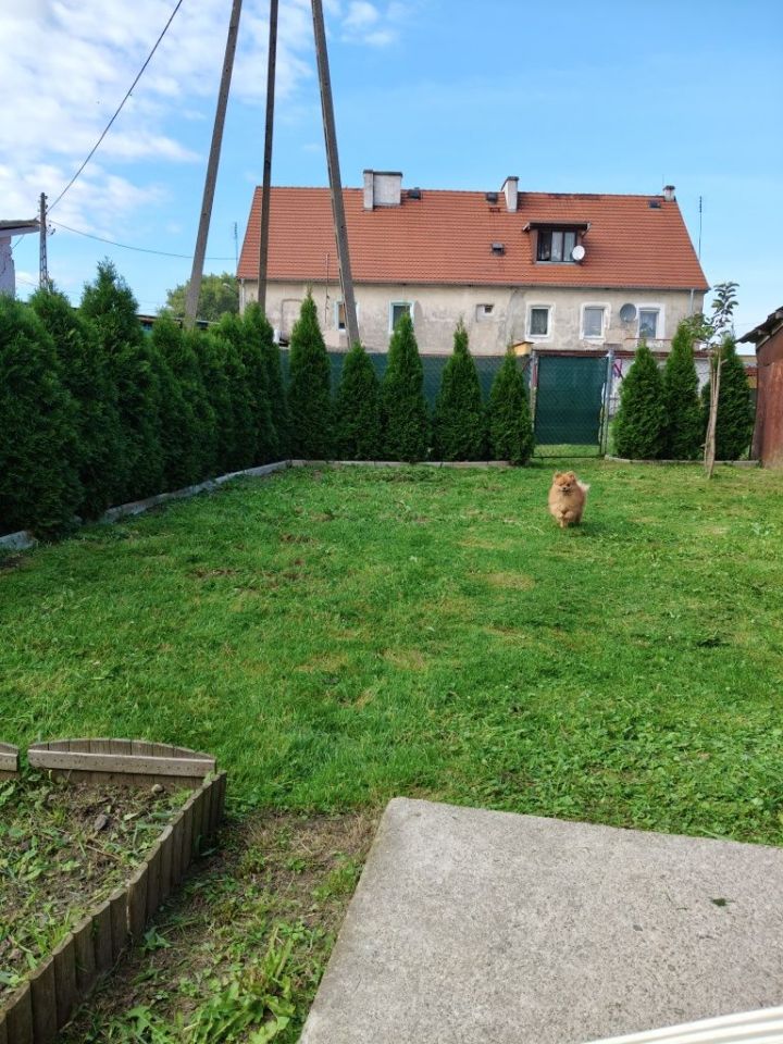 Mieszkanie 2-pokojowe Sulisławice. Zdjęcie 6