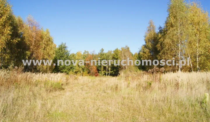 Działka inwestycyjna Rybnik Boguszowice