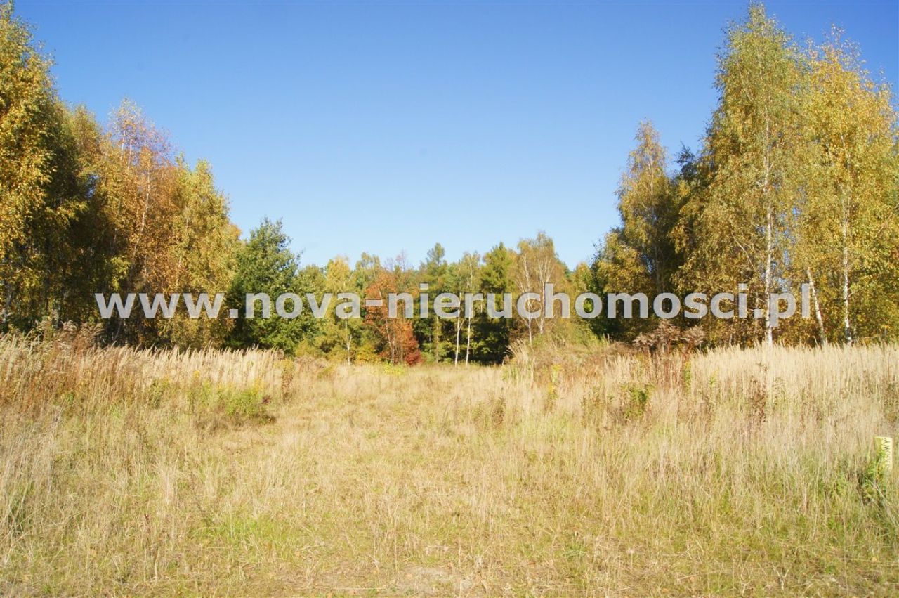 Działka inwestycyjna Rybnik Boguszowice. Zdjęcie 1