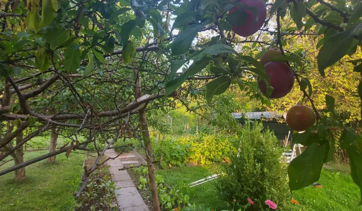 Działka rod Olsztyn