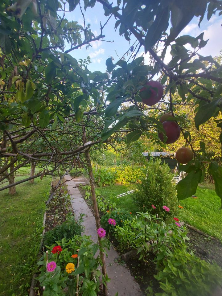 Działka rod Olsztyn. Zdjęcie 1