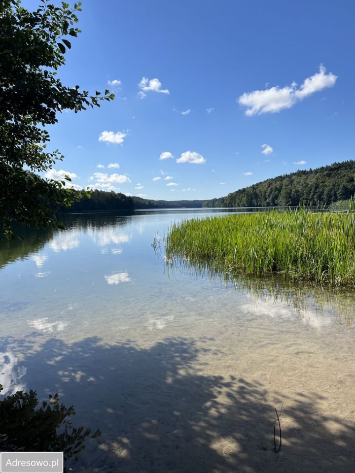 dom wolnostojący, 2 pokoje Kiełpiny. Zdjęcie 17