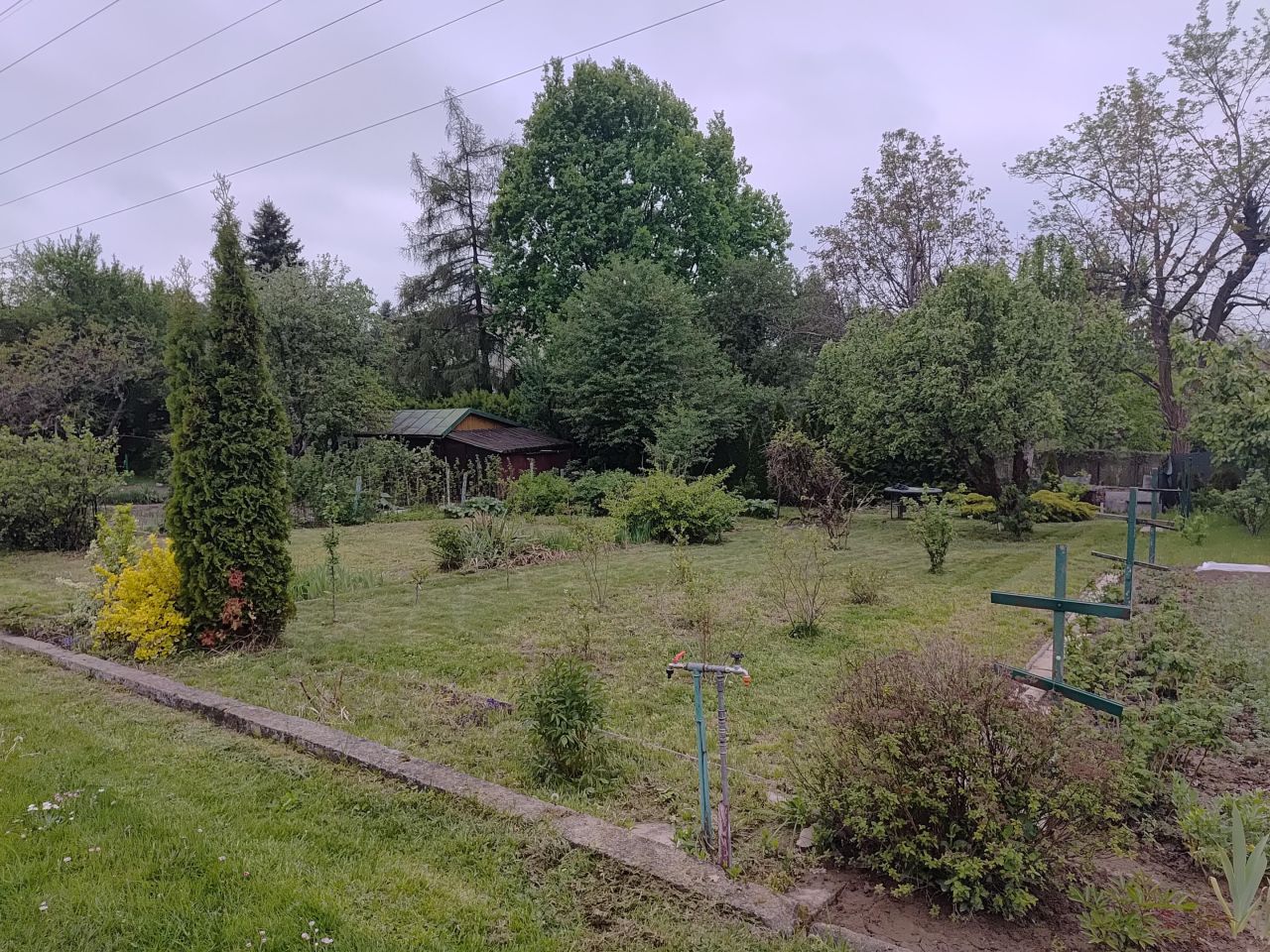 Działka rod Lublin Węglin, ul. Laury. Zdjęcie 4