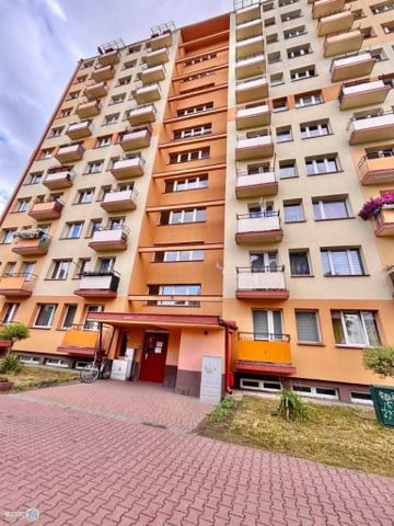 Mieszkanie 1-pokojowe Kielce KSM, ul. Sandomierska. Zdjęcie 3